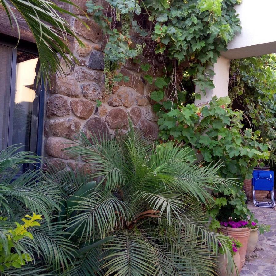 Nichochot Provence Villa Had Nesz Kültér fotó